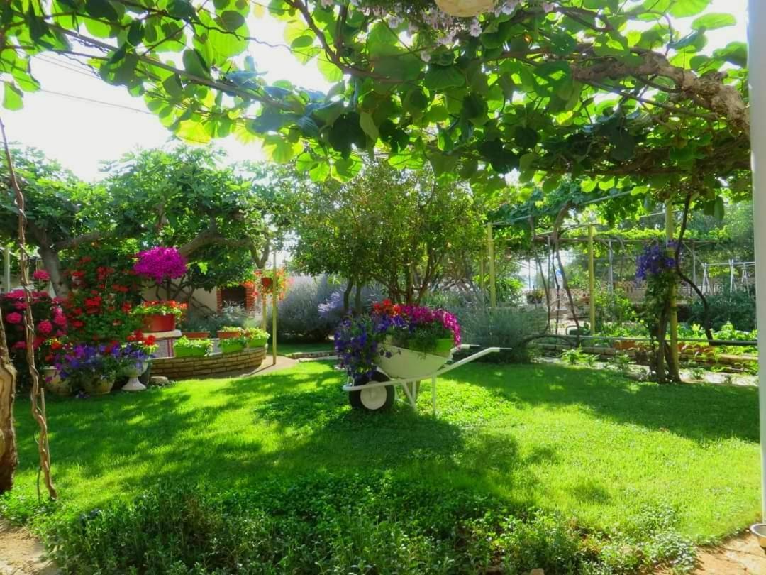 Beach Apartment Roza Biograd Oneroom - Premium Location บีโอกราดนาโมรู ภายนอก รูปภาพ